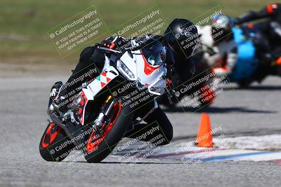media/Mar-23-2025-TrackDaz (Sun) [[88a7749186]]/B Group/220pm (Cotton Corners)/